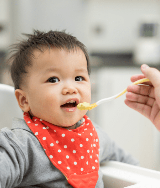 Baby boy in highchair wearing a bandana being fed with a spoon